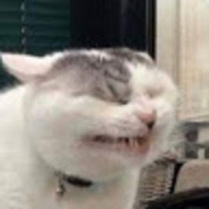 Meet your Posher, Avery